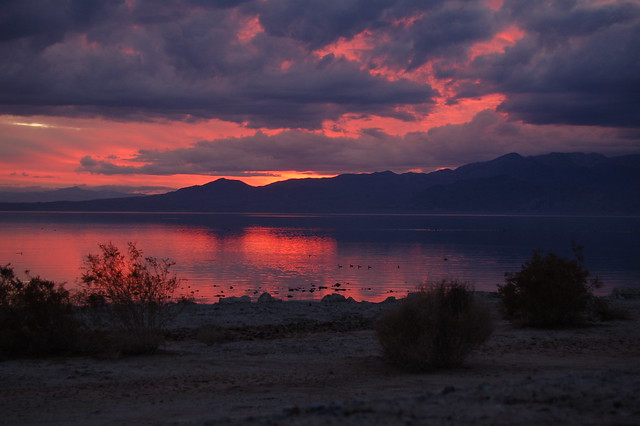 The Salton Sea